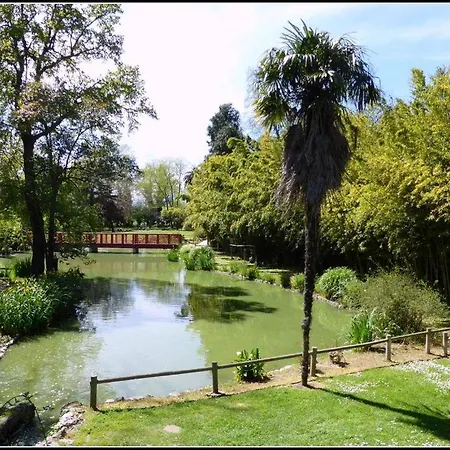 3 Plain Pied Avec Grand Jardin - 6radi8 * Saint-Cyprien