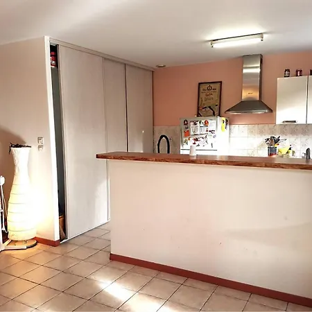 3 Plain Pied Avec Grand Jardin - 6radi8 Saint-Cyprien