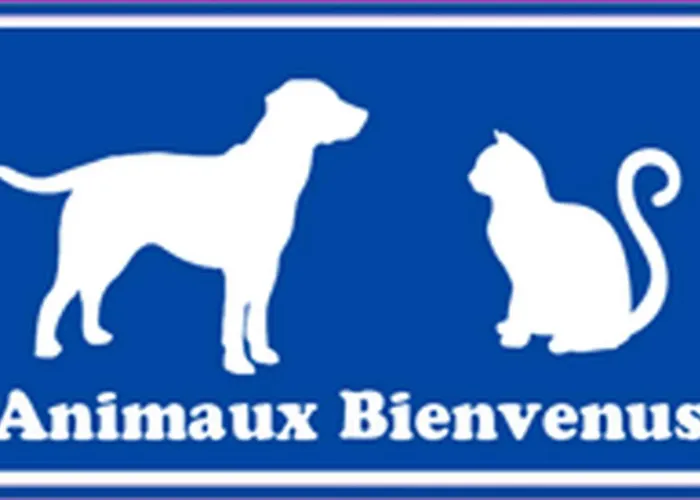 3 Plain Pied Avec Grand Jardin - 6radi8 Willa Saint-Cyprien (Pyrenees-Orientales)